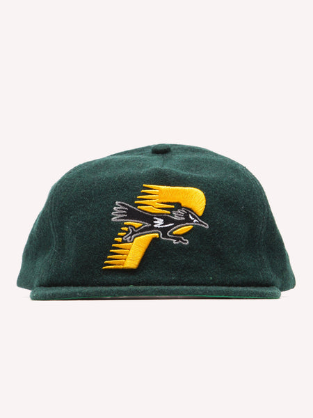 Road Runner Snapback