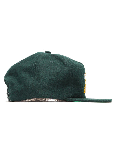 Road Runner Snapback
