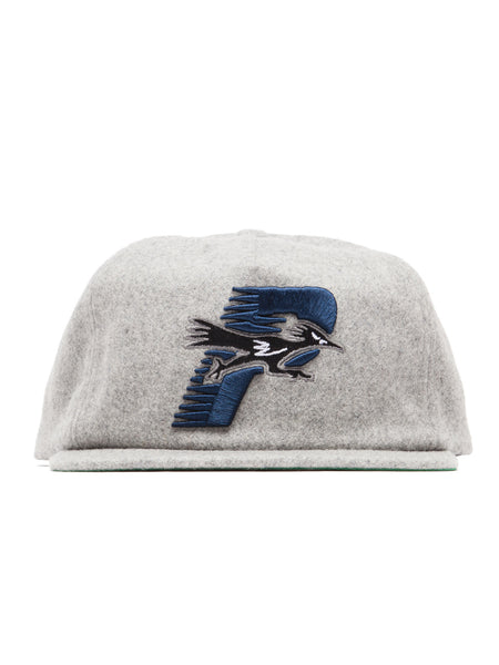 Road Runner Snapback